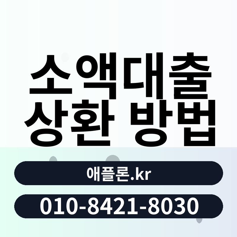 소액대출 상환 방법 | 애플론.kr | 010-8421-8030