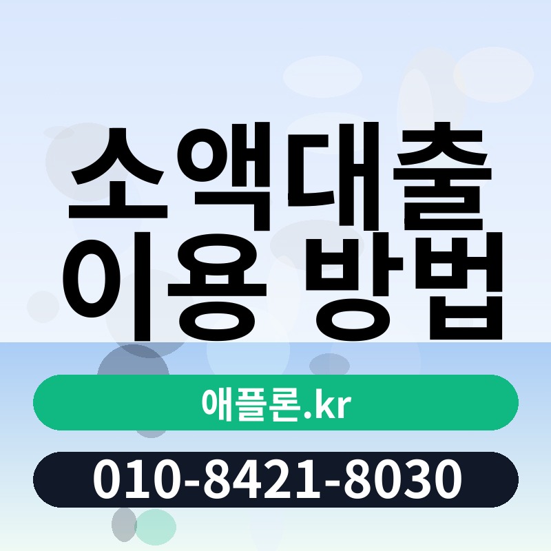 소액대출 이용 방법 | 애플론.kr | 010-8421-8030