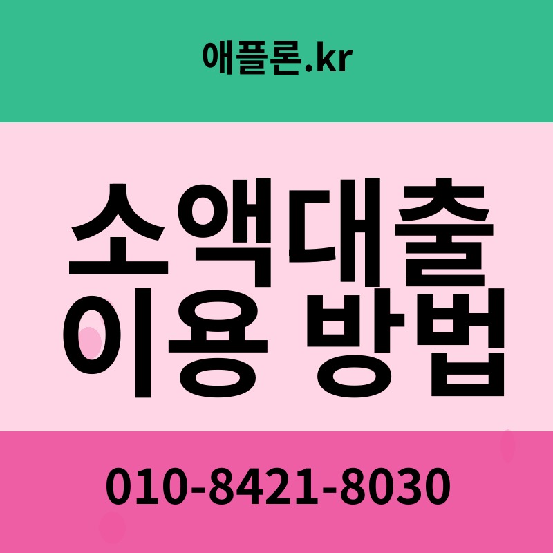 소액대출 이용 방법 | 애플론.kr | 010-8421-8030