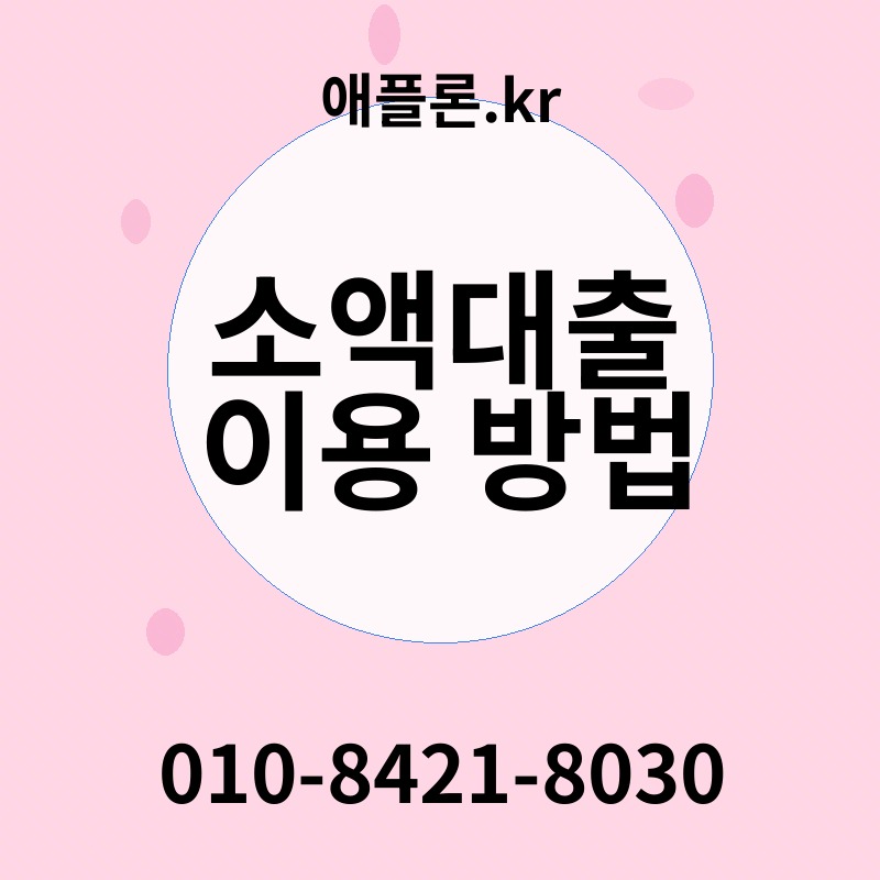 소액대출 이용 방법 | 애플론.kr | 010-8421-8030