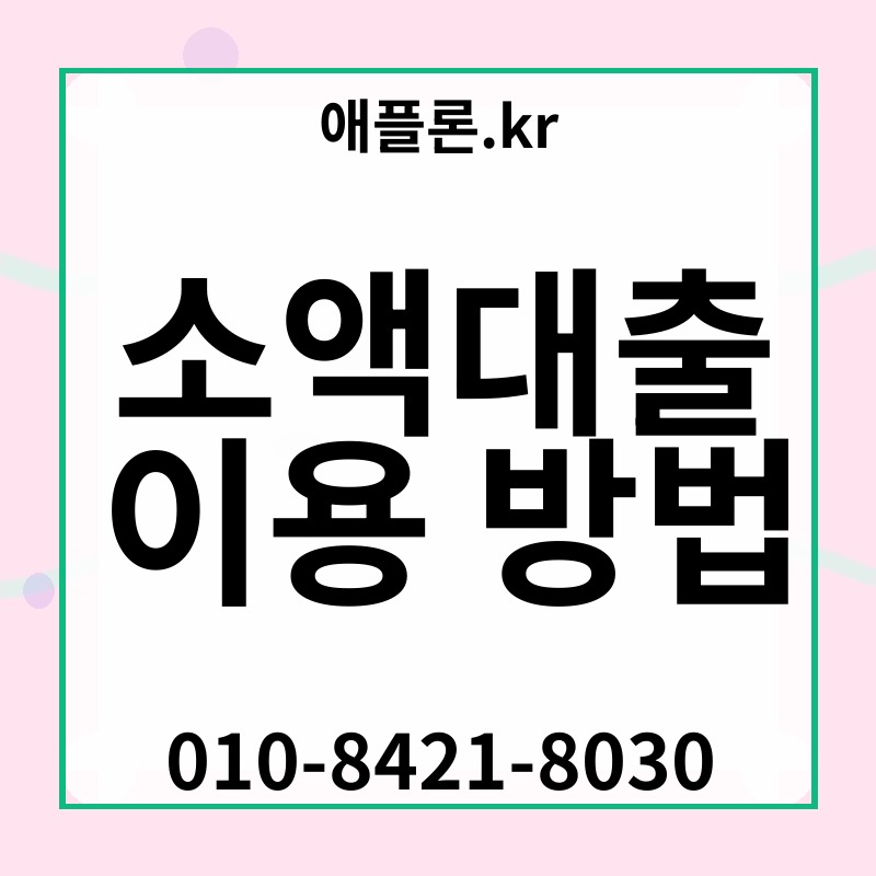소액대출 이용 방법 | 애플론.kr | 010-8421-8030