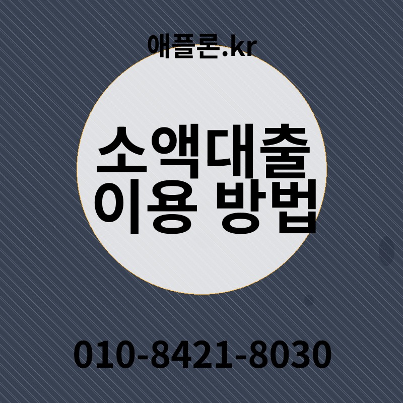 소액대출 이용 방법 | 애플론.kr | 010-8421-8030