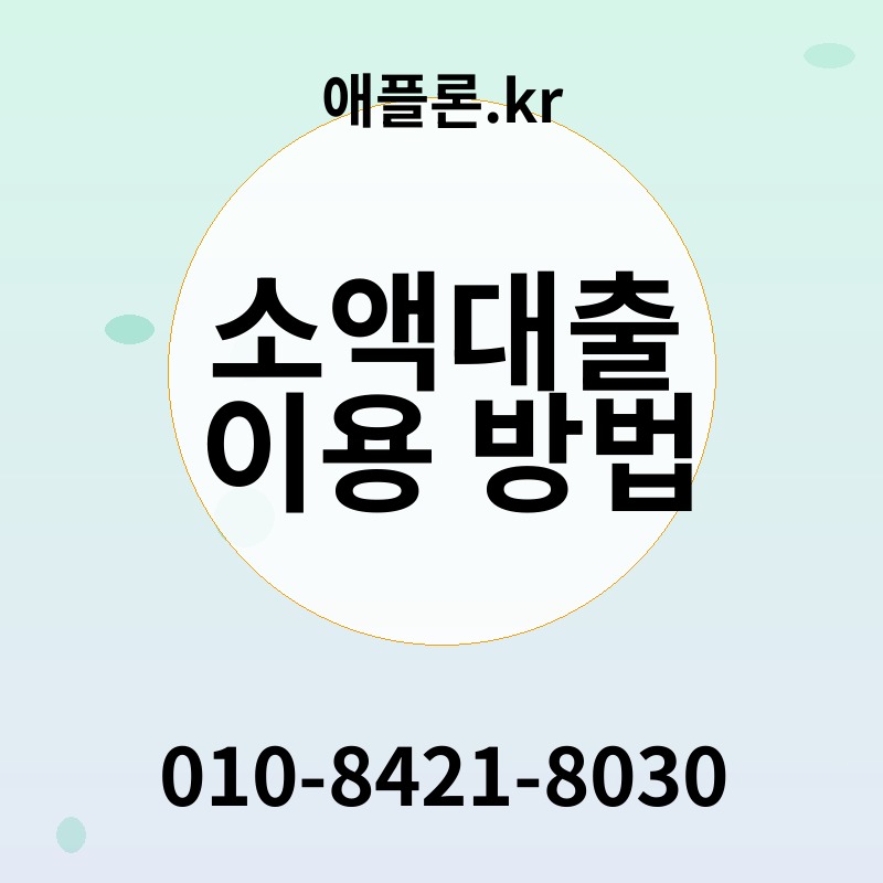 소액대출 이용 방법 | 애플론.kr | 010-8421-8030