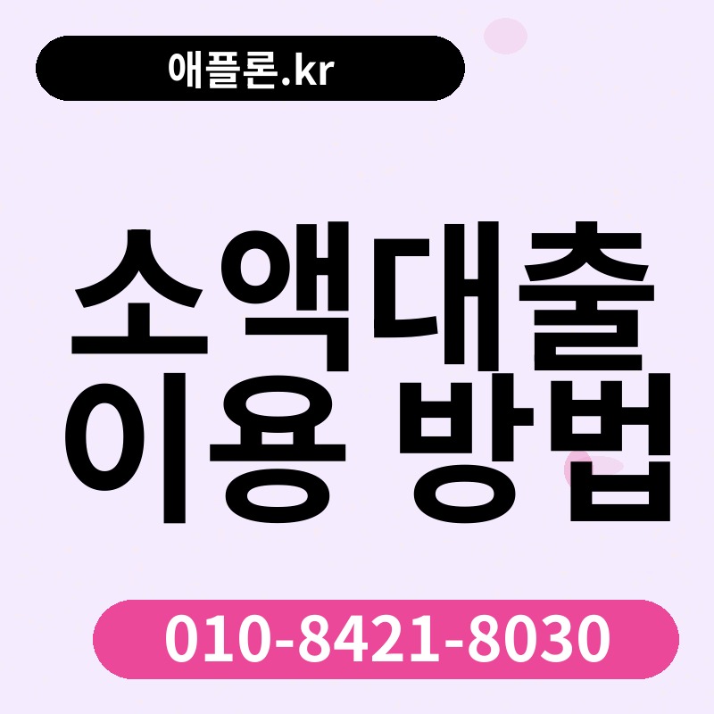 소액대출 이용 방법 | 애플론.kr | 010-8421-8030