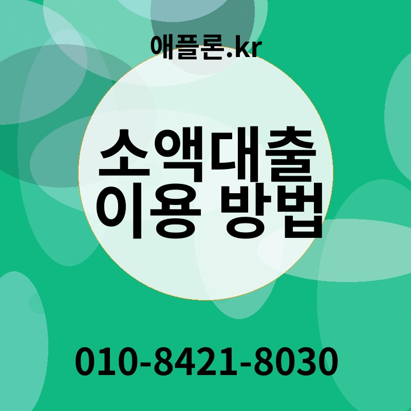 소액대출 이용 방법 | 애플론.kr | 010-8421-8030