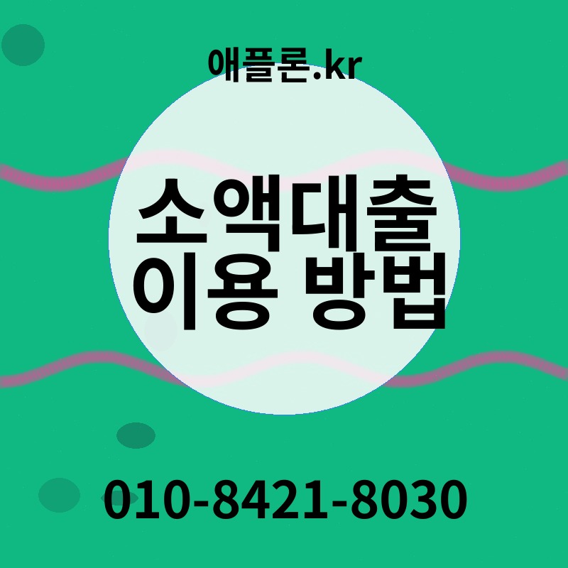 소액대출 이용 방법 | 애플론.kr | 010-8421-8030