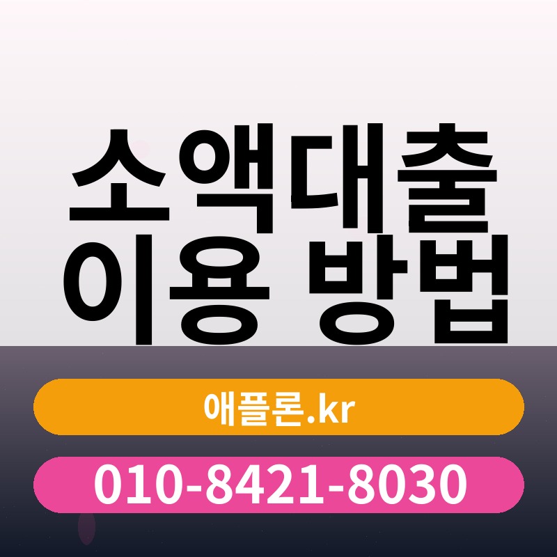 소액대출 이용 방법 | 애플론.kr | 010-8421-8030