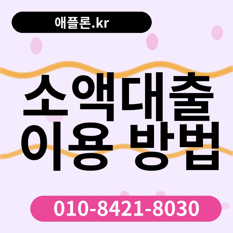 소액대출 이용 방법 | 애플론.kr | 010-8421-8030