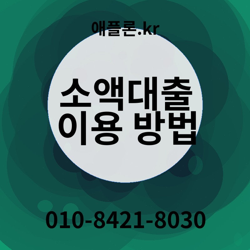 소액대출 이용 방법 | 애플론.kr | 010-8421-8030