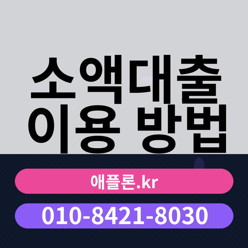 소액대출 이용 방법 | 애플론.kr | 010-8421-8030