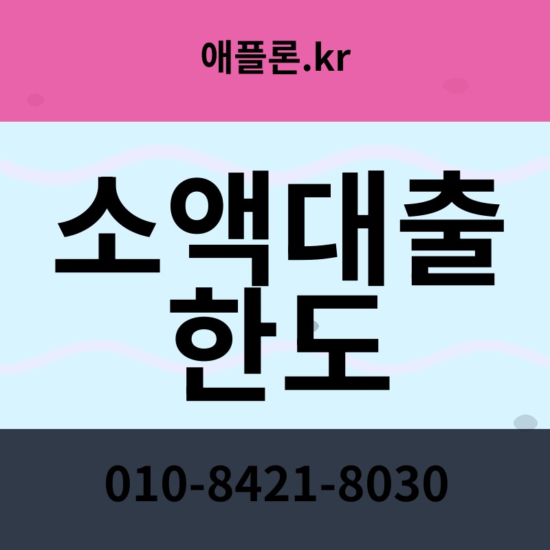 소액대출 한도 | 애플론.kr | 010-8421-8030