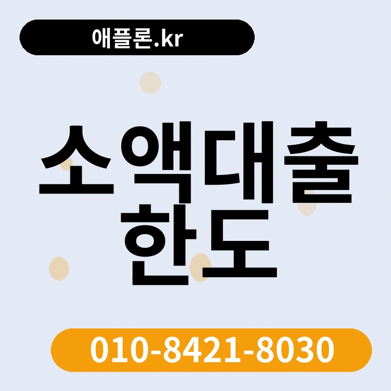 소액대출 한도 | 애플론.kr | 010-8421-8030