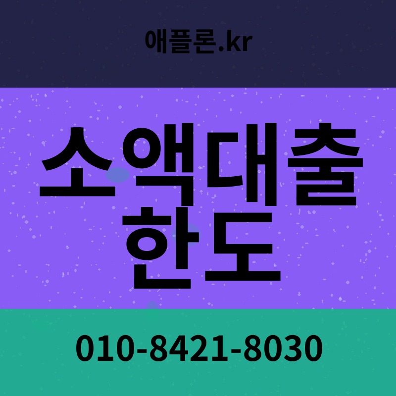 소액대출 한도 | 애플론.kr | 010-8421-8030