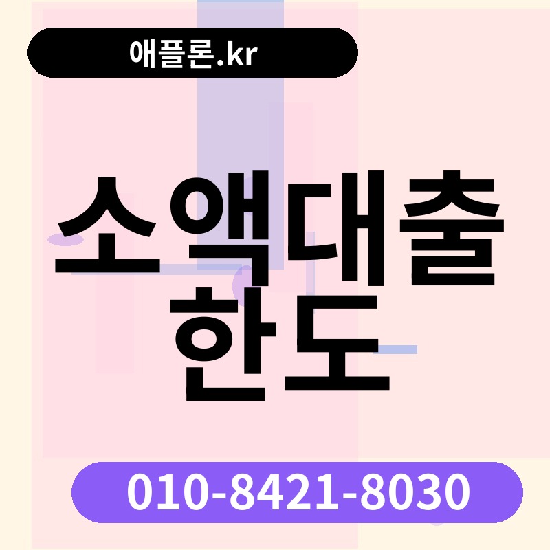 소액대출 한도 | 애플론.kr | 010-8421-8030