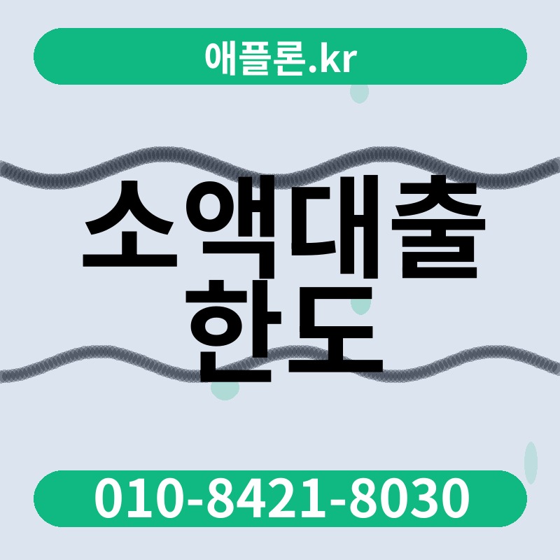 소액대출 한도 | 애플론.kr | 010-8421-8030