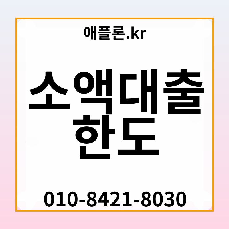 소액대출 한도 | 애플론.kr | 010-8421-8030