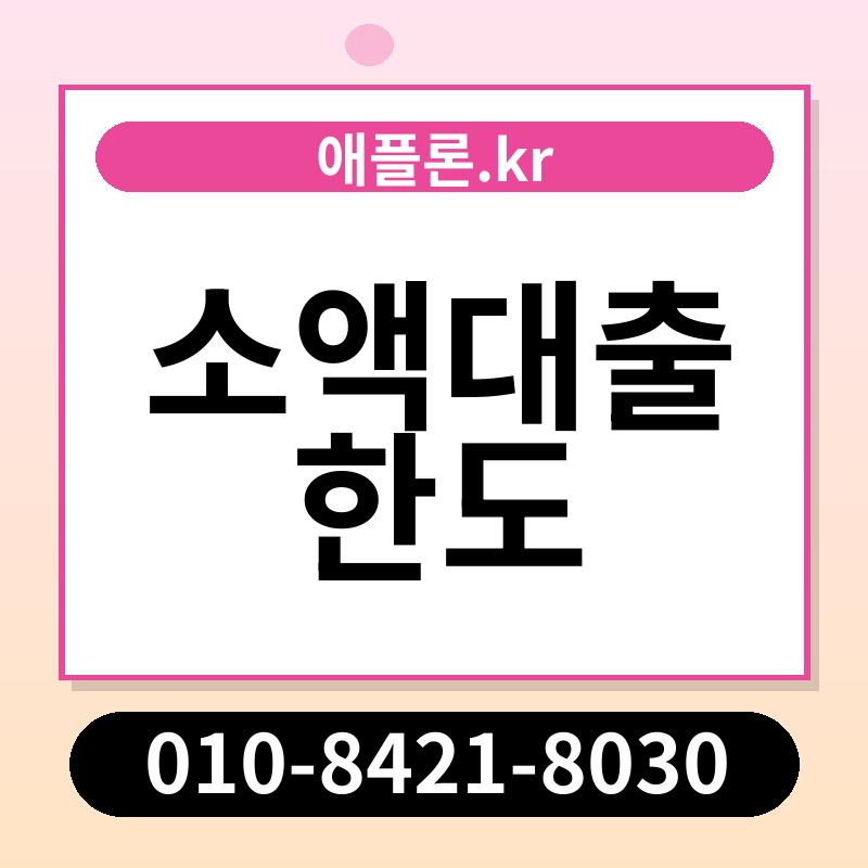 소액대출 한도 | 애플론.kr | 010-8421-8030