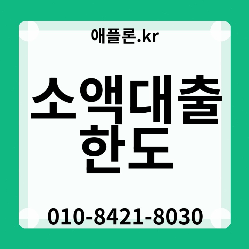 소액대출 한도 | 애플론.kr | 010-8421-8030