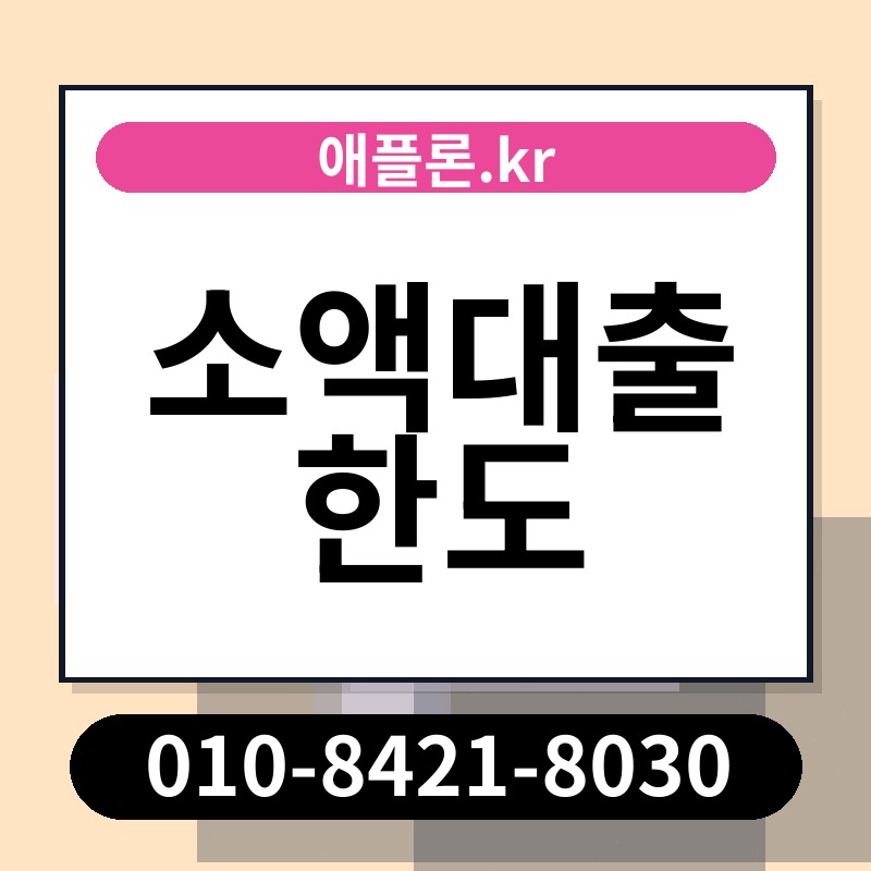 소액대출 한도 | 애플론.kr | 010-8421-8030