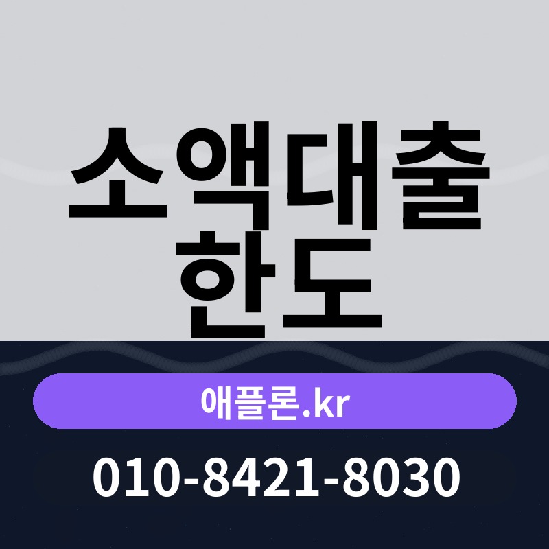 소액대출 한도 | 애플론.kr | 010-8421-8030