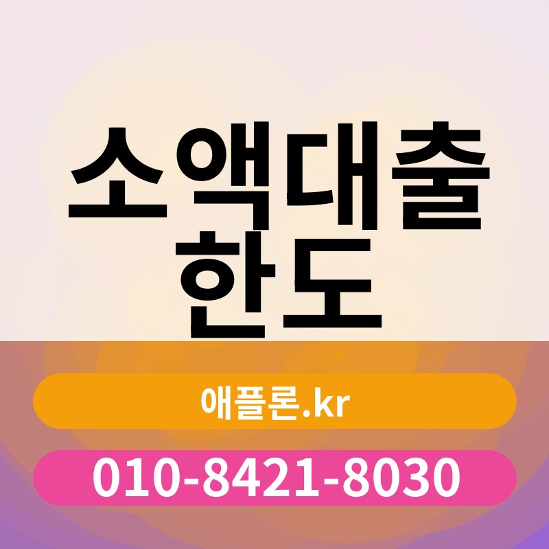 소액대출 한도 | 애플론.kr | 010-8421-8030