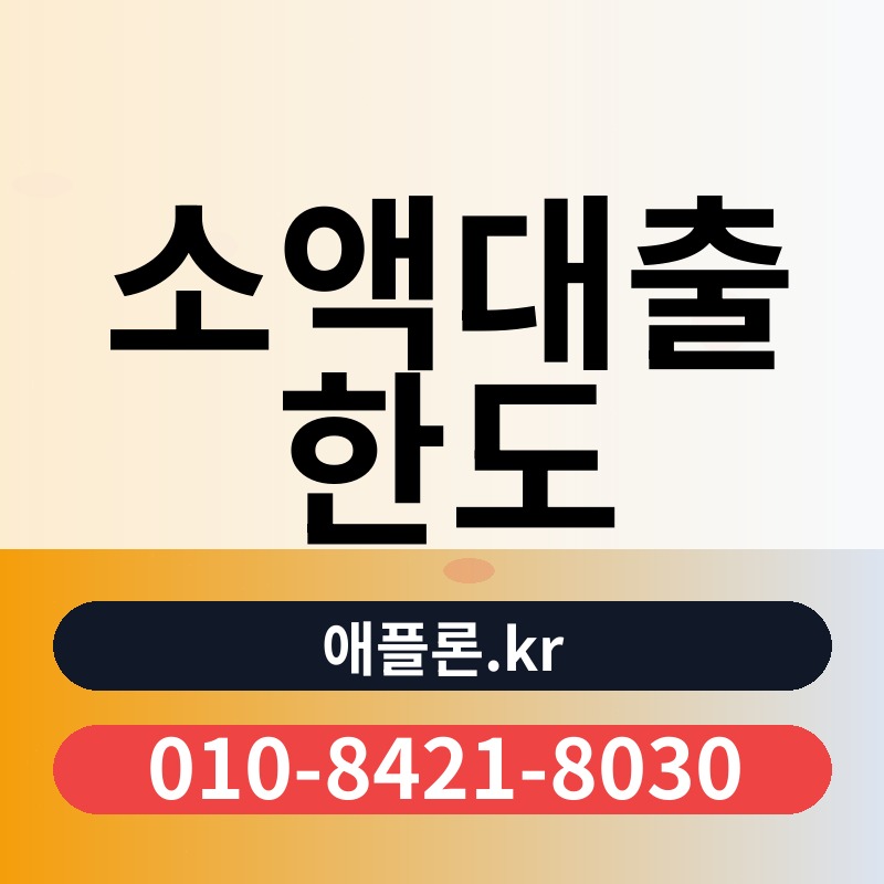 소액대출 한도 | 애플론.kr | 010-8421-8030