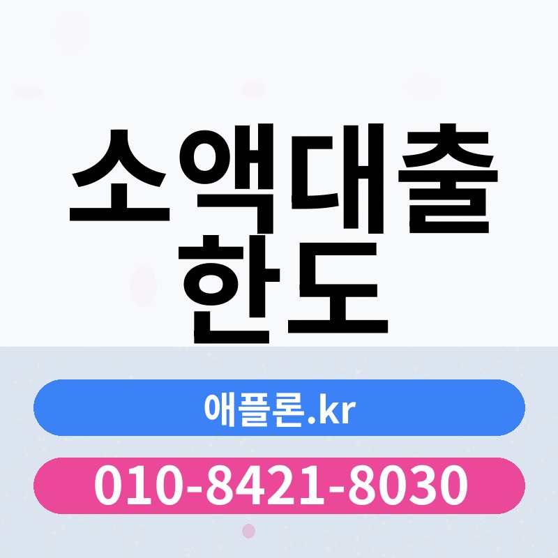 소액대출 한도 | 애플론.kr | 010-8421-8030