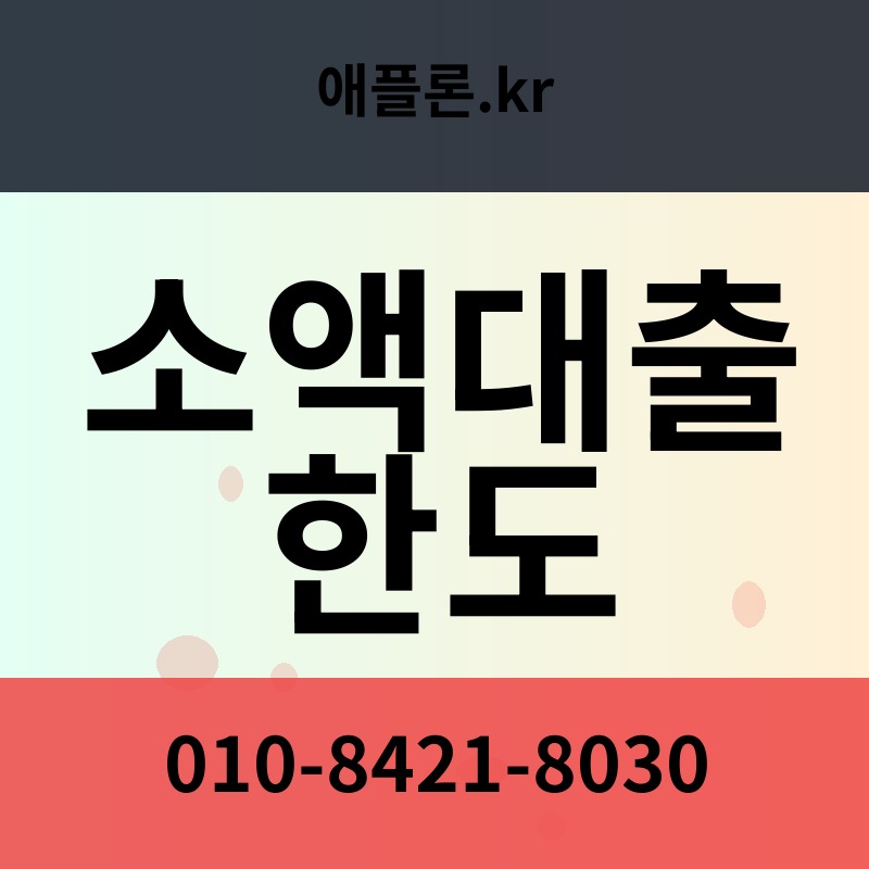 소액대출 한도 | 애플론.kr | 010-8421-8030