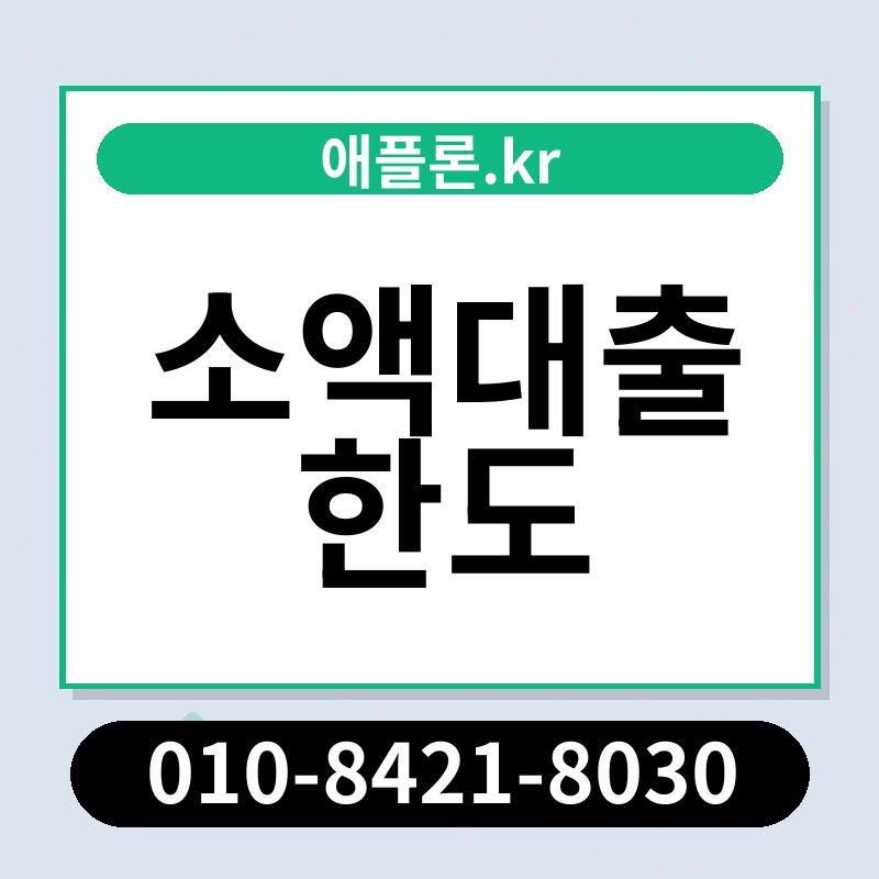 소액대출 한도 | 애플론.kr | 010-8421-8030