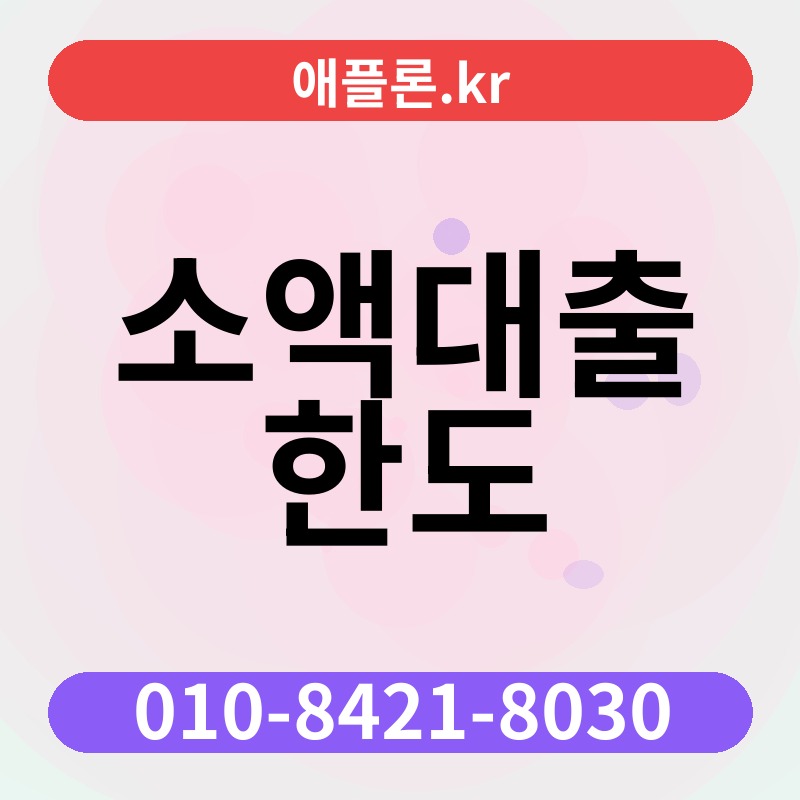 소액대출 한도 | 애플론.kr | 010-8421-8030