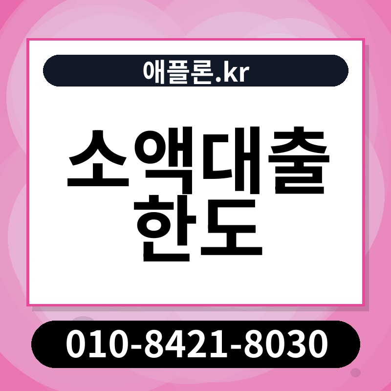 소액대출 한도 | 애플론.kr | 010-8421-8030