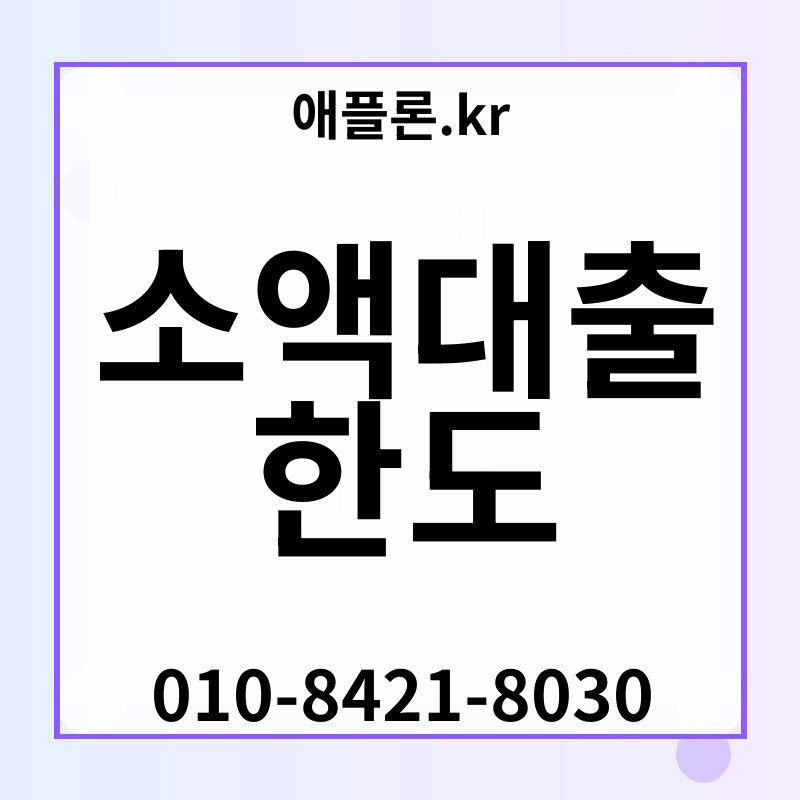 소액대출 한도 | 애플론.kr | 010-8421-8030
