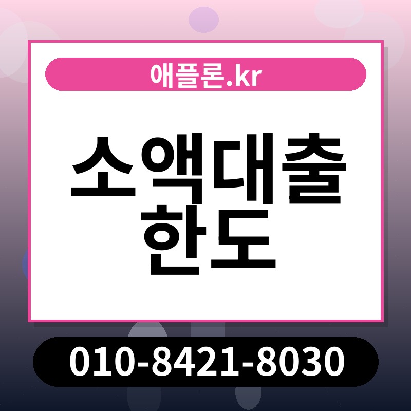 소액대출 한도 | 애플론.kr | 010-8421-8030