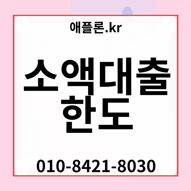 소액대출 한도 | 애플론.kr | 010-8421-8030