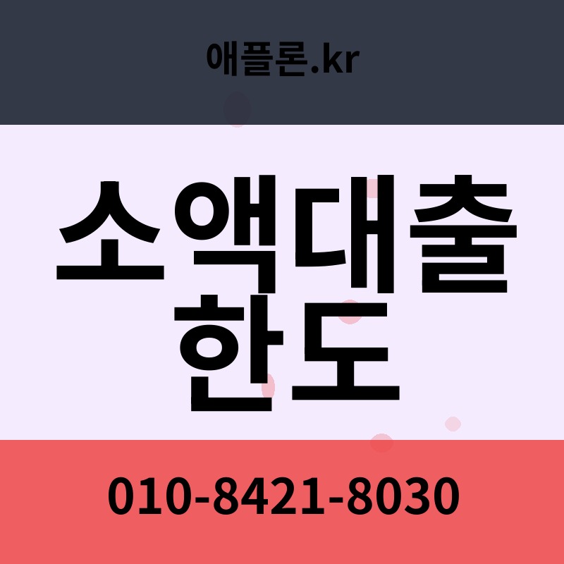 소액대출 한도 | 애플론.kr | 010-8421-8030