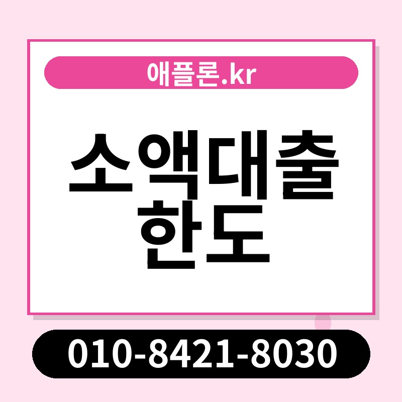 소액대출 한도 | 애플론.kr | 010-8421-8030
